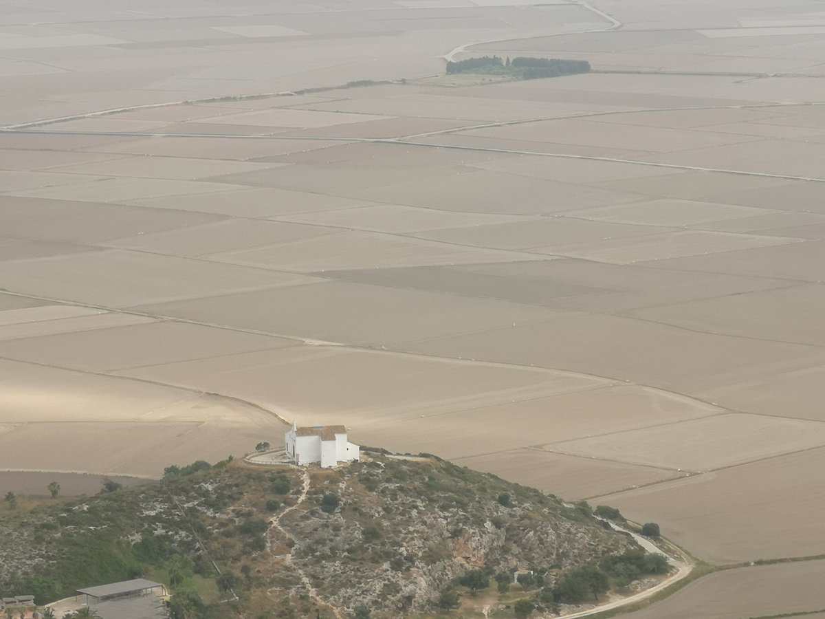 IsmaelLli's tweet photo. El cicle de l'arròs ja s'ha tancat. Ara els arrossers a esperar que depén de con bufe el vent serà el preu. https://t.co/tAzROIPfNN