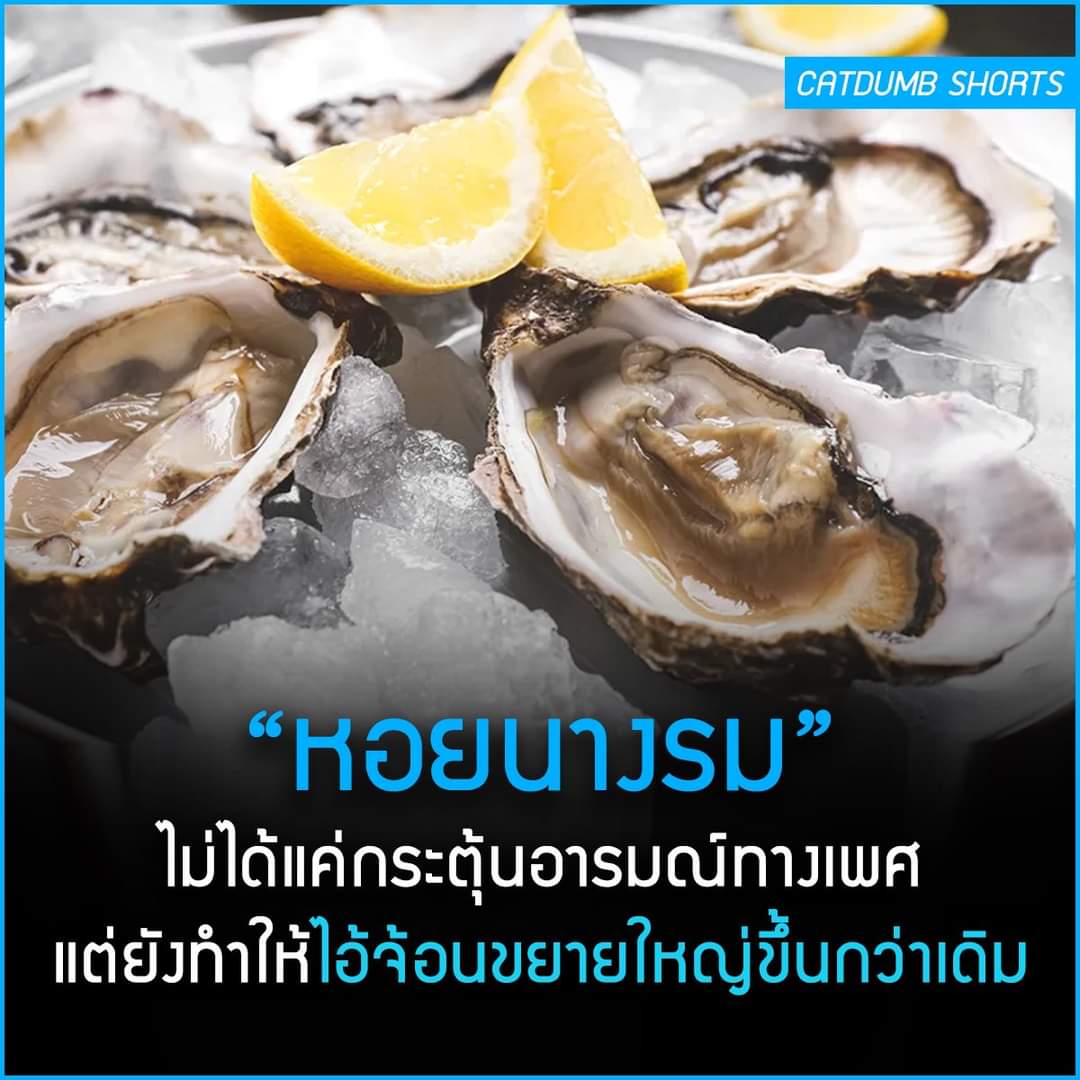ManInMirrorS's tweet photo. โอเค สั่งเลยเย็นนี้ 🦪 https://t.co/rJ2RmiXsHZ