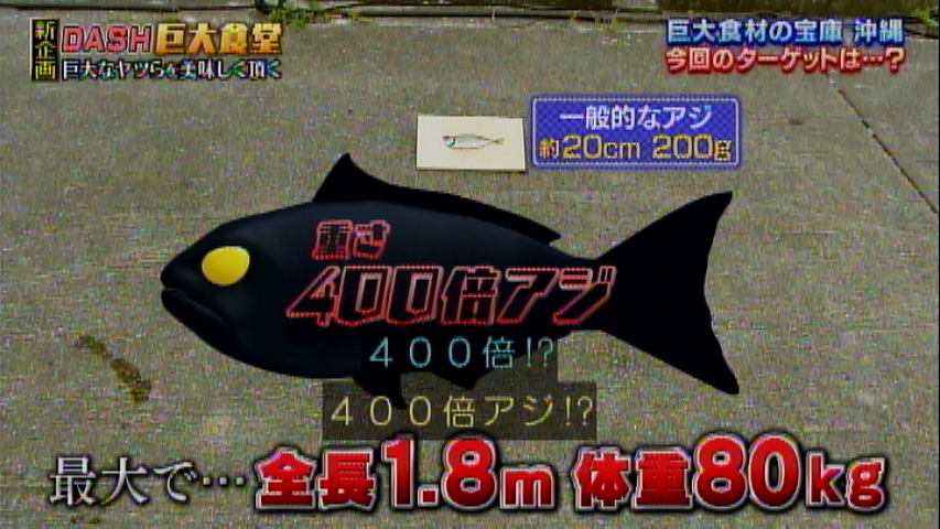 色々とおかしい アジを釣るつもりが240cmの巨大ザメを釣り上げた城島リーダー サメ駆除の経験を活かして100kgの巨大サメフライを調理 鉄腕dash Togetter