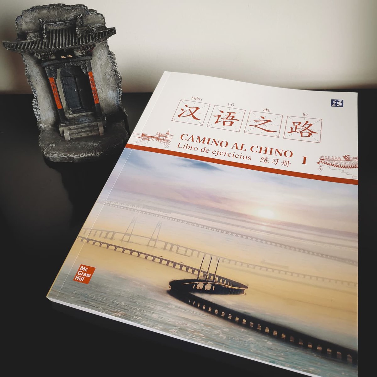 Mariogarmej's tweet photo. Pues ya tenemos otro más publicado! Este es el hermano pequeño del primero! #librodeejercicios #caminoalchino #enseñanzadechino https://t.co/eZggk2ov4f