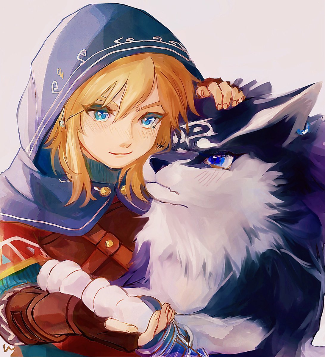 link blue eyes wolf gloves male focus 1boy blonde hair hood  illustration images