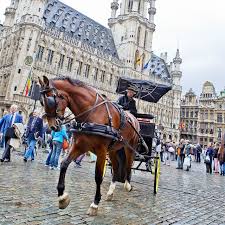 CagesFree's tweet photo. Een paard #hoort in een wei. 
#Niet om in uitlaatgassen te lopen ten dienste van luie mensen👎😡#Brugge #Blankenberge https://t.co/EggLA54VgG