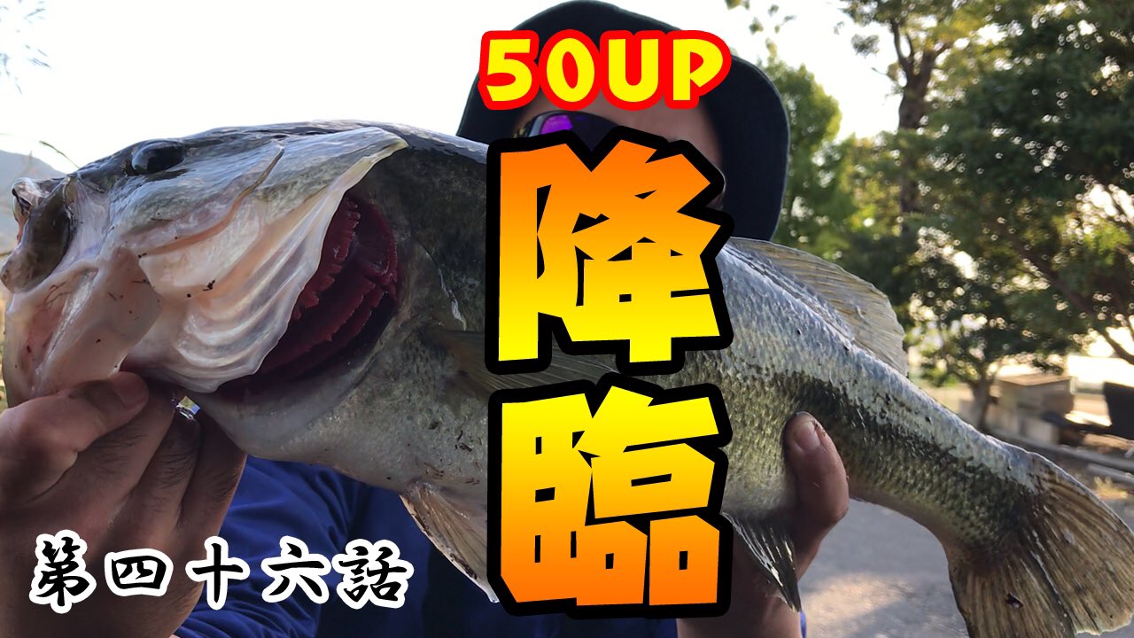 おいどん Oidon0127 Twitter