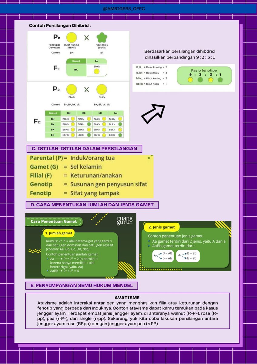 ambigers_offc's tweet image. Materi Biologi kelas XII
✧ Hereditas ✧
jangan lupa rt / like ya! tysm 🙌