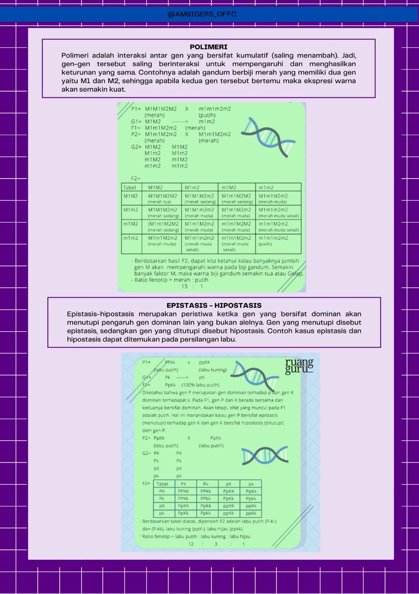 ambigers_offc's tweet image. Materi Biologi kelas XII
✧ Hereditas ✧
jangan lupa rt / like ya! tysm 🙌