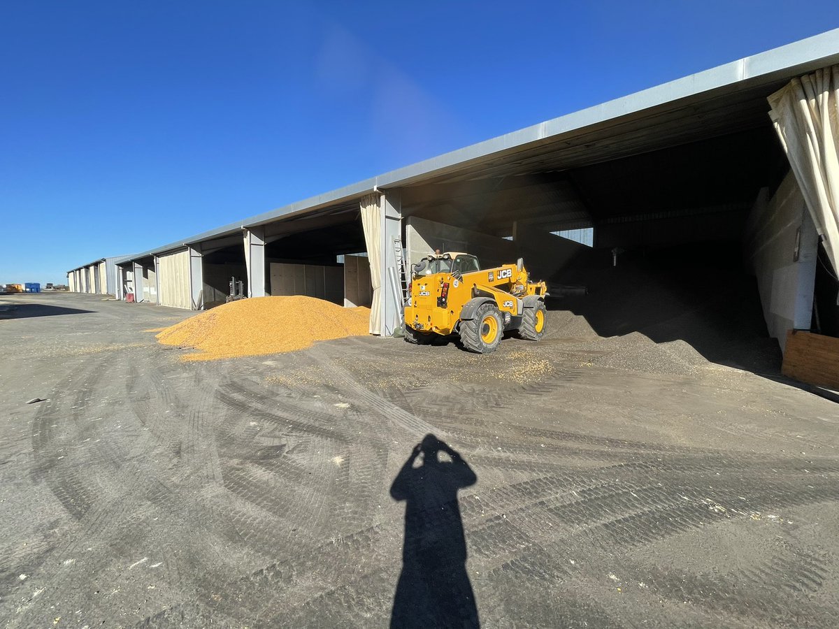 Goujon32's tweet photo. Écologiquement intensif 🌽 Produire c’est la souveraineté alimentaire , capter du carbone . Le reste c’est du PIPO …🎺
#agrosud #fc2a #fragritwittos #agriculteurs #agriculture https://t.co/3UlRRkwfNh