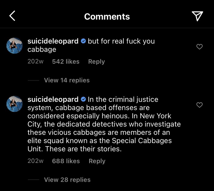 RubysNephew's tweet photo. ruby really doesn’t like this cabbage, mf came back 96 weeks later to threaten it https://t.co/WqOIbho9cR