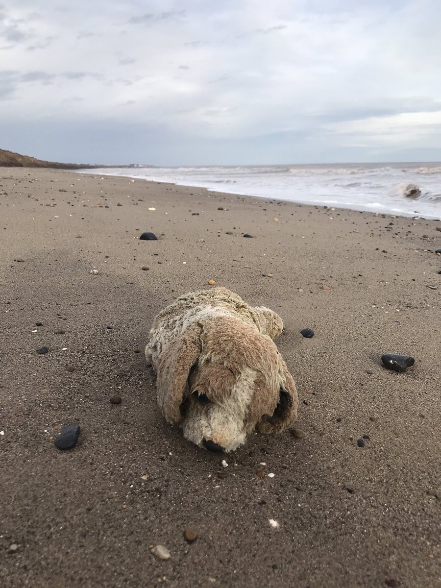 AuntieMongo's tweet photo. Found on Mappleton to Hornsea beach 😍🧸🐶😢 Please share to help me get this little chap home to whichever child has lost him https://t.co/9rHtHmTawx