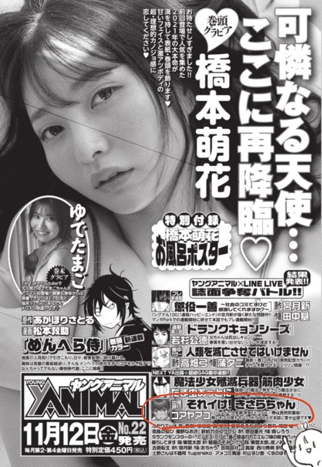 【次回のそれイけ!きさらちゃん】今月号のハレムは掲載お休みですが、次号のヤングアニマルに出張掲載されます!!! 