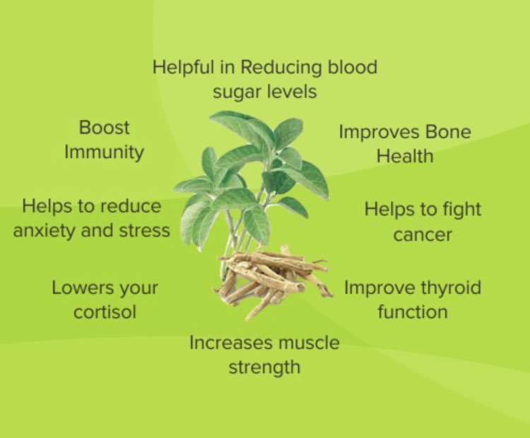 MattCoup1980's tweet photo. Ashwagandha, the miracle herb. Better than CBD? #mentalhealth #vitamins #energy #FREE #diet #slimming #fat #happy #sale #confident #weightloss #getfit #toned #healthy #health #meds #curves #women #men #labido #sex #turmeric #painrelief #mindfulness #stress #anxiety #stressrelief https://t.co/oMCBq1EU8G