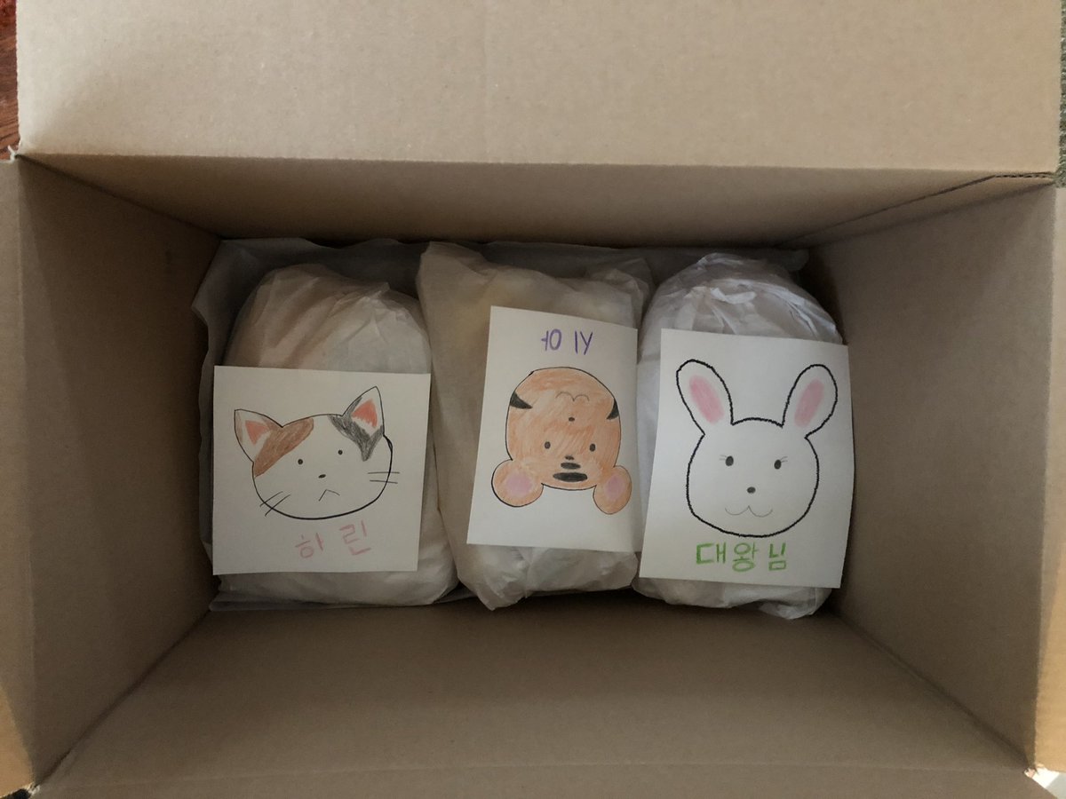 rockpath's tweet photo. 어떻게? 난 진짜 행복해 ㅠㅠㅠㅠ Thank you to the people who helped fund the plushies. https://t.co/BlClU0kn4k