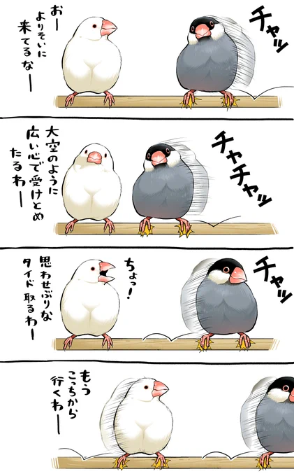 よりそう文鳥さん。 #文鳥の日 