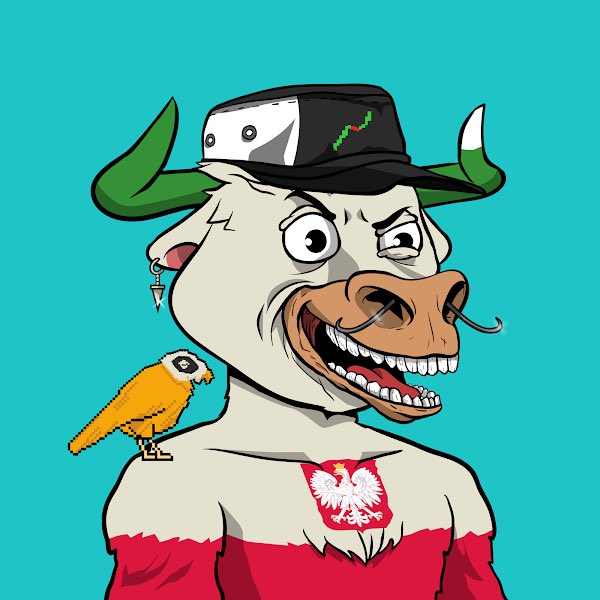 crypto_birb's tweet photo. Huge thanks for this honorary NFT from @GoonsNft. I love this art with parrot and Polish vibes. Looking great. They’re having their Goon Factory drop next friday. Follow them for the updates🍻 https://t.co/xQMoVvZNLX