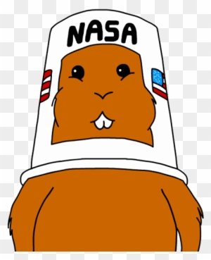 JMcrypto11's tweet photo. @elonmusk The Simpsons family sent a hamster into space in a cartoon. Can you send this #Hamstercoin to #Mars? 🚀 https://t.co/yfbRSqW7CZ