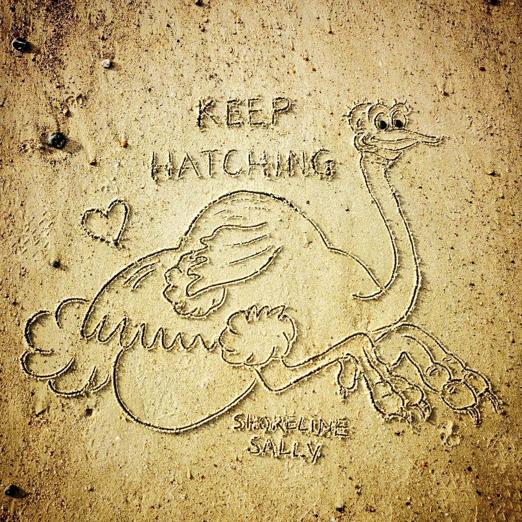 DigiDaughter's tweet photo. Keep Hatching (Plans) 🥚💡
#BigEggo #RegCarter #TheBeano #ostrich #wrongegg #lewstringer
💛 #StaySafe #sanddrawing #beachart 🌊🌊🌊 #Lockdown2021 #morale #VitaminSea #Lockdown2020 #comics #cartoons ✍️ #SandBanksy #shorelinesally Characters No.1214 https://t.co/cZ88aoXU4T