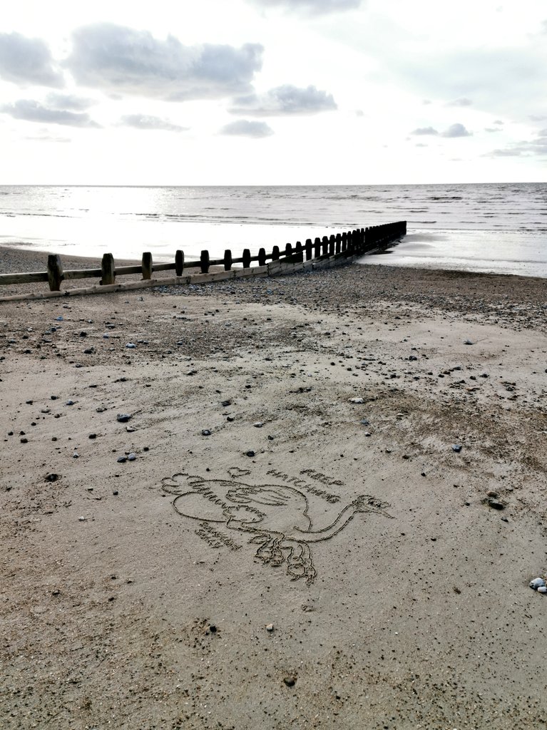 DigiDaughter's tweet photo. Keep Hatching (Plans) 🥚💡
#BigEggo #RegCarter #TheBeano #ostrich #wrongegg #lewstringer
💛 #StaySafe #sanddrawing #beachart 🌊🌊🌊 #Lockdown2021 #morale #VitaminSea #Lockdown2020 #comics #cartoons ✍️ #SandBanksy #shorelinesally Characters No.1214 https://t.co/cZ88aoXU4T