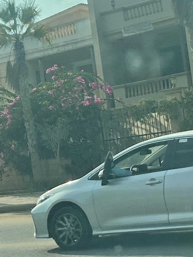 AminaElkalyoubi's tweet photo. #onlyinegypt https://t.co/XGLErPDTRK