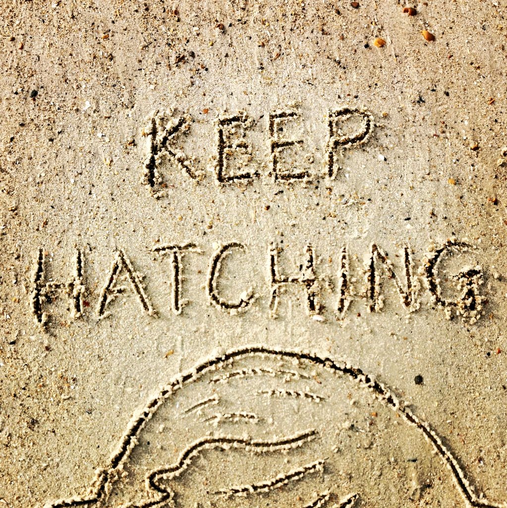 DigiDaughter's tweet photo. Keep Hatching (Plans) 🥚💡
#BigEggo #RegCarter #TheBeano #ostrich #wrongegg #lewstringer
💛 #StaySafe #sanddrawing #beachart 🌊🌊🌊 #Lockdown2021 #morale #VitaminSea #Lockdown2020 #comics #cartoons ✍️ #SandBanksy #shorelinesally Characters No.1214 https://t.co/cZ88aoXU4T