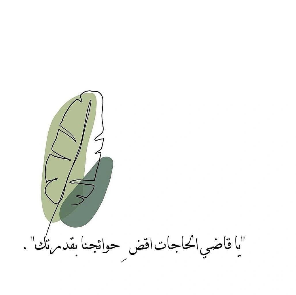 Osha02433698's tweet photo. يارب https://t.co/ZcNOyLC16U