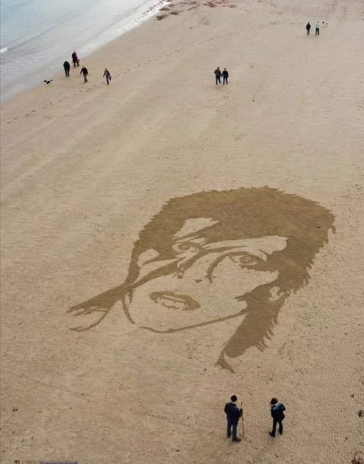 ZStarpuss's tweet photo. Friends: what do you want to do at the beach? 
Me:  
#CatsOfTwitter #BowieForever #aladinsane #ziggystardust #DavidBowie https://t.co/qM30Z7ThSE