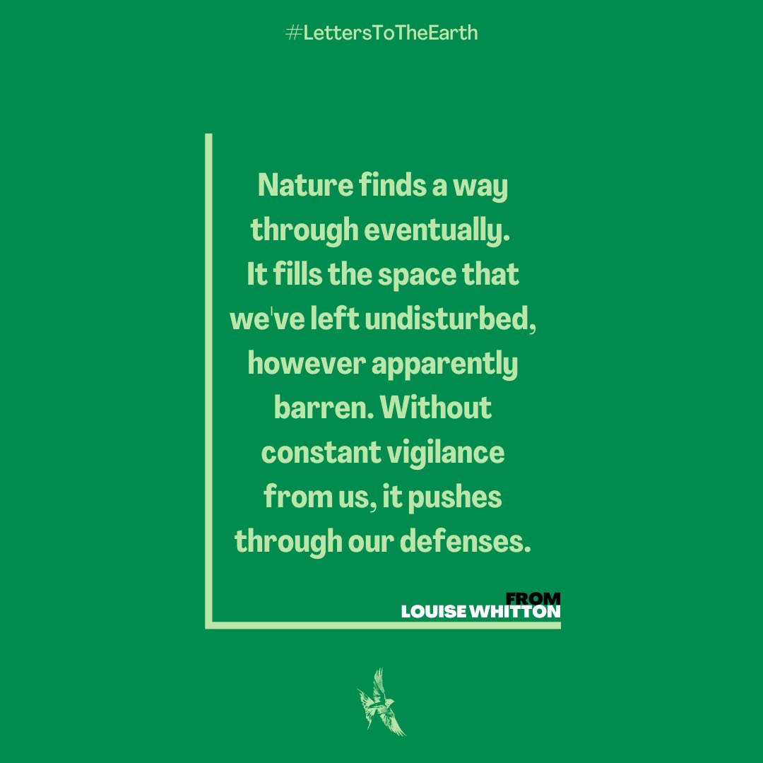 letterstoearth_'s tweet photo. A Sunday morning #lettertotheearth from Louise Whitton 📝🌍
Louise reminds us that ‘Nature finds a way through eventually.’ 🌿 https://t.co/872hUgG5Gm