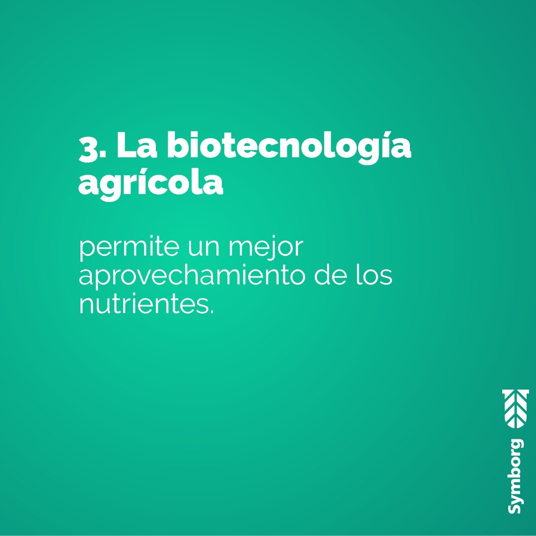 Hoy es el Día Internacional contra el Cambio Climático.
Así es como la biotecnología agrícola ayuda a mitigarlo.
Juntos podemos conseguir una agricultura más sostenible. 

#DíaInternacionalContraElCambioClimático