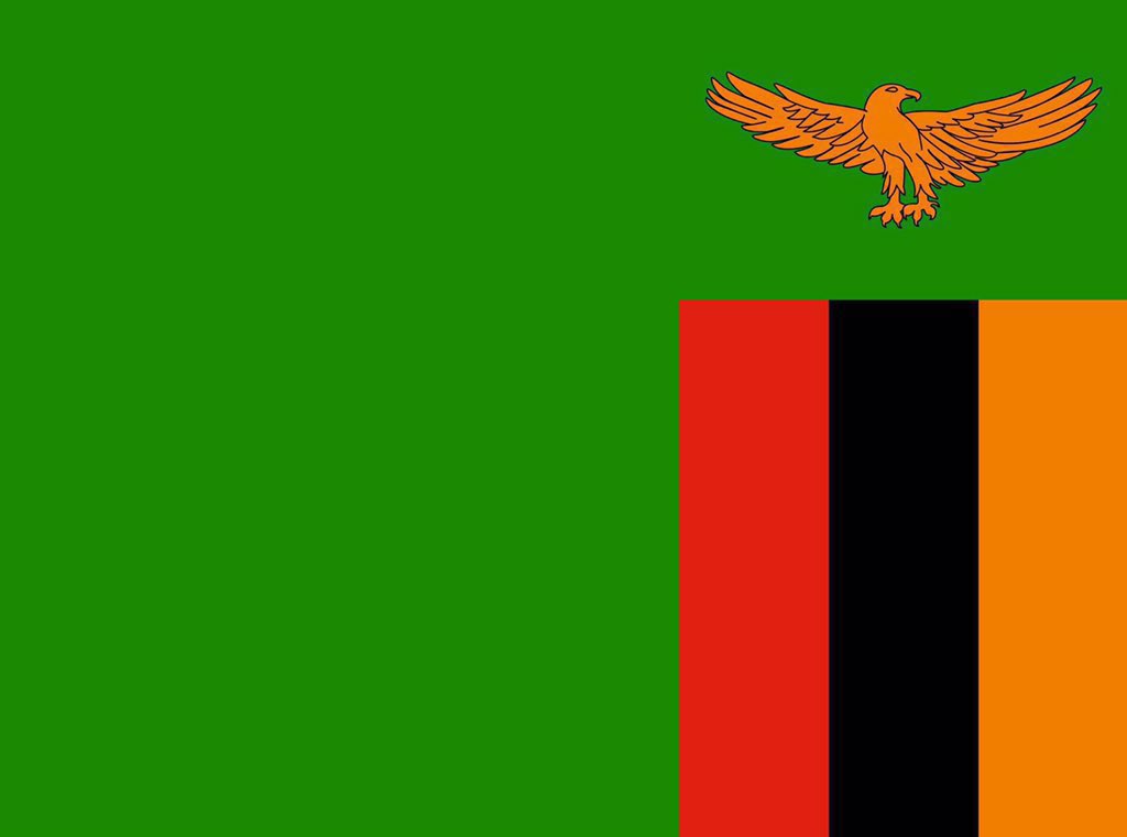 muchimba_nicole's tweet photo. The Flag:                                            The Face:
Happy Independence Day! https://t.co/3Jiz0rrJ0p
