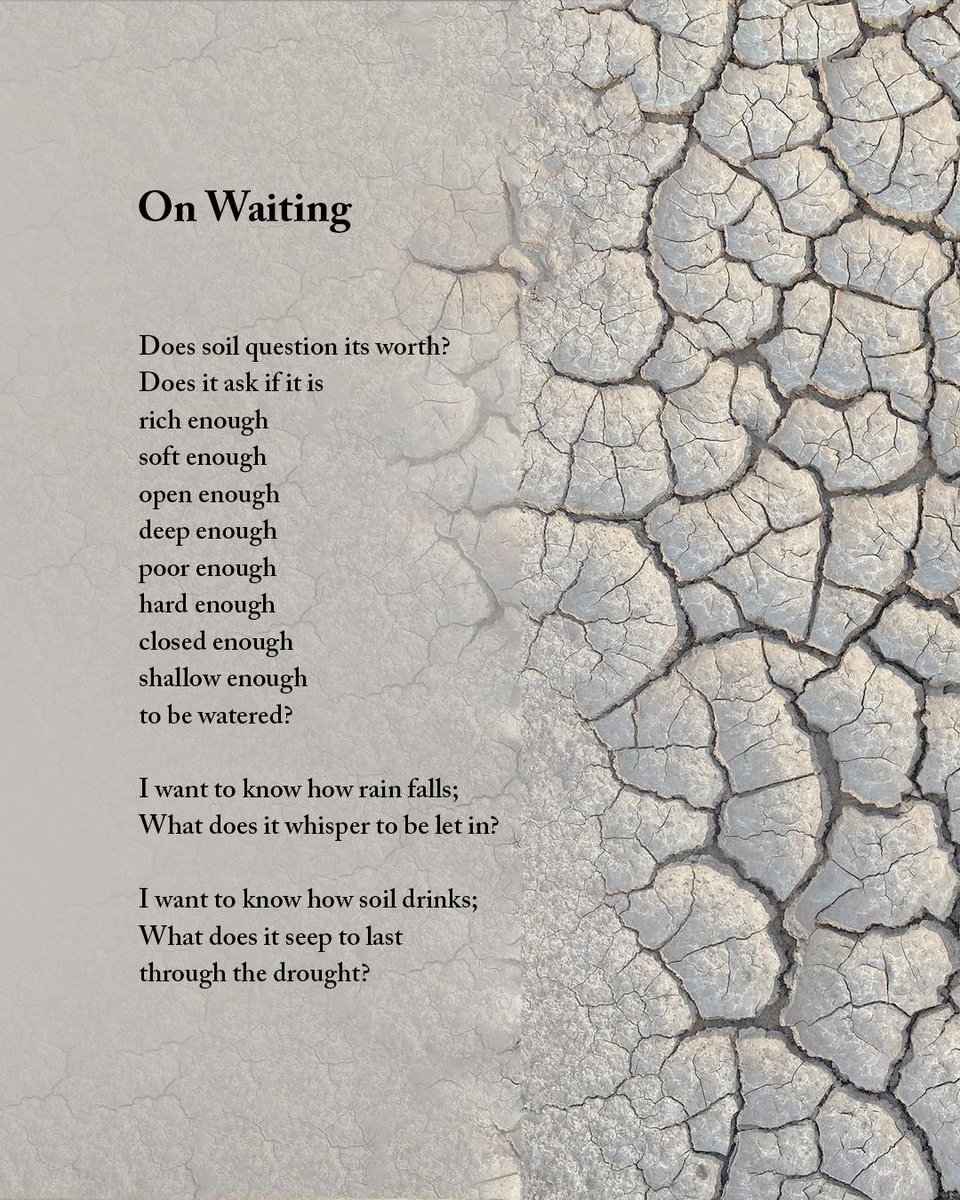 sinaitrail's tweet photo. The #Sinai has inspired #poets #artists &amp; #dreamers 4 1000s of yrs &amp; it remains a place of inspiration for many today! Lobna El Gammal is a hiker who began to write poetry after journeys on the trail &amp; she is sharing it publicly on IG @ellobziwrites wishing her lots of luck ⭐️ https://t.co/7WfxKNtywW