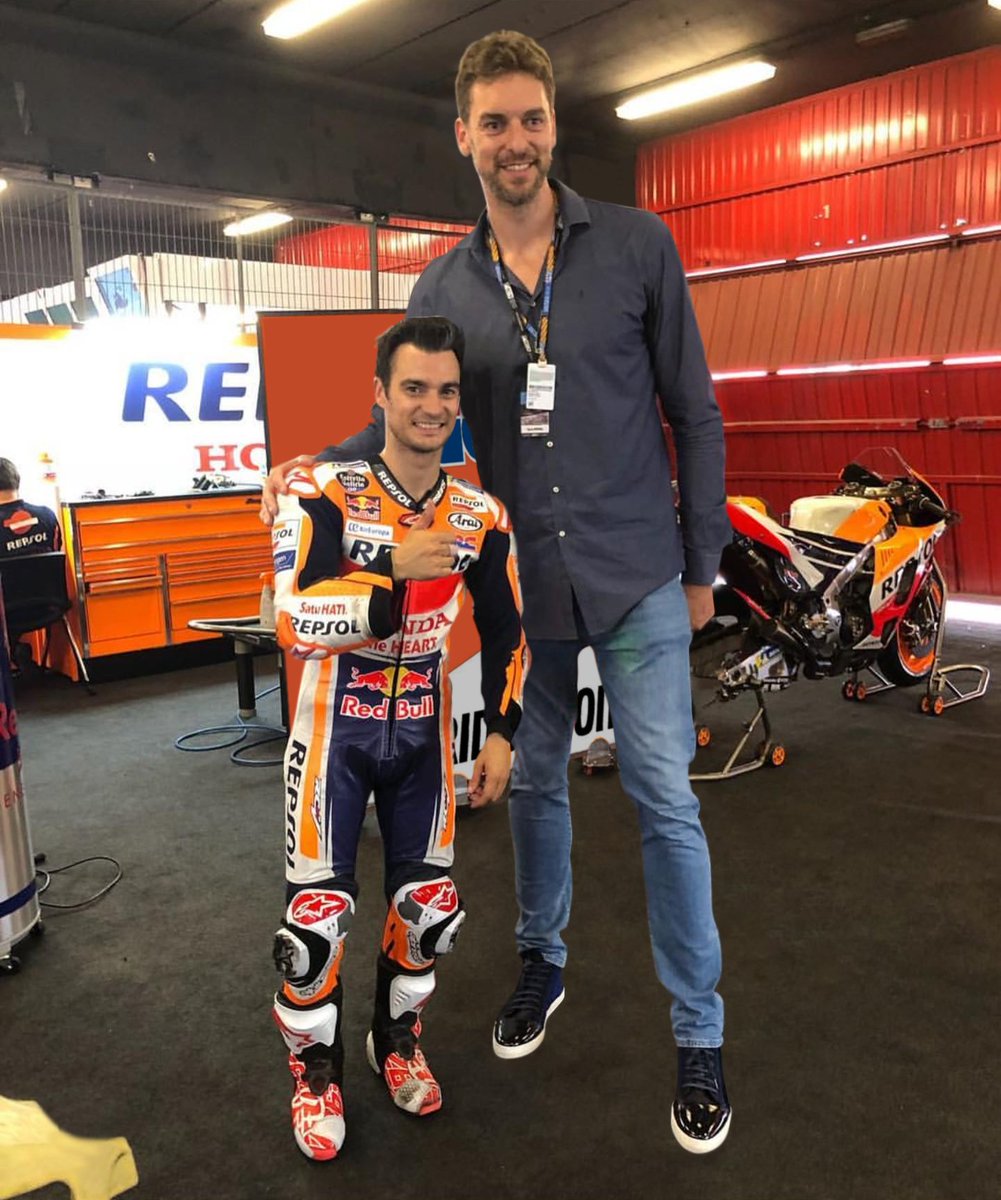 A más rt o likes te hago a Gasol más pequeño 🤏🏼