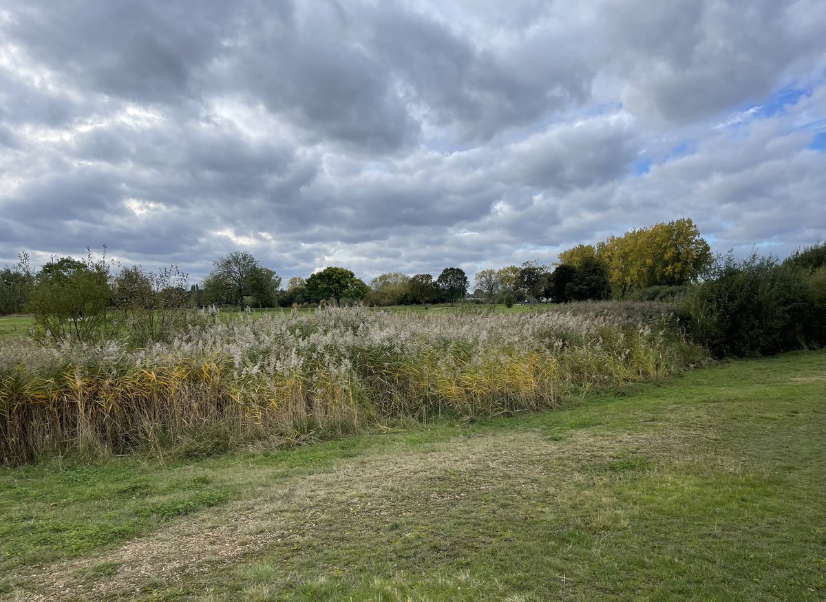 CllrECarpenter's tweet photo. Late Autumn in Mayesbrook Park, Dagenham. https://t.co/cHAeFx5g5u