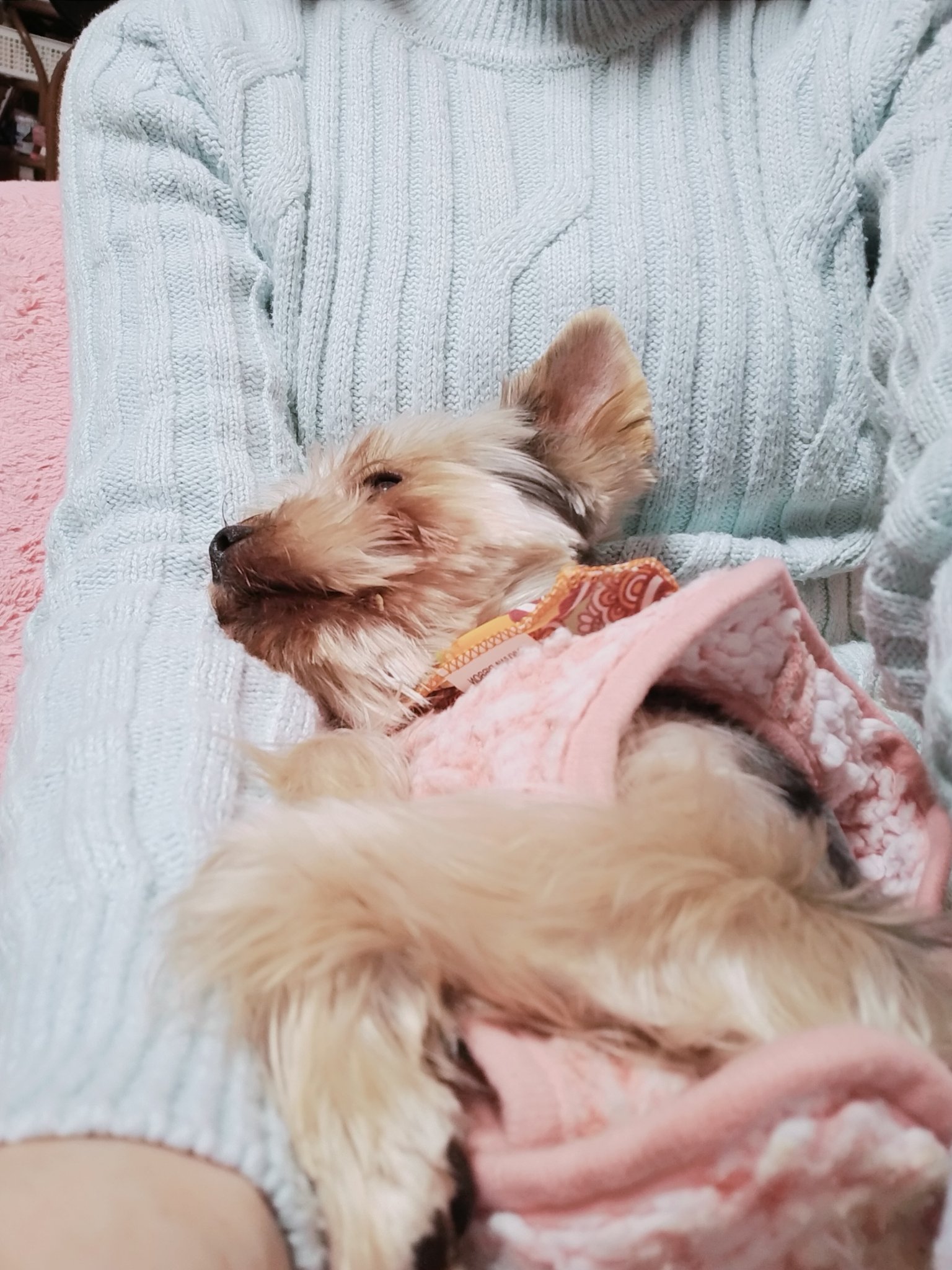 Hchieri H Chieri Twitter