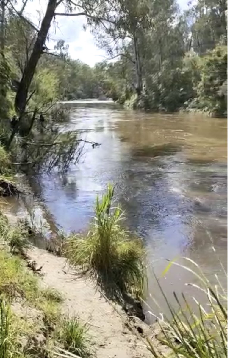 OlsenOula's tweet photo. 15km today 4 a total of 98/150km for #RedSocksAppeal. Every year, tens of thousands of Aussies suffering from #KidneyDisease spend countless hours hooked up 2 a dialysis machine 2 clean their blood & stay alive. Cold feet are a common S/E when undergoing dialysis. @KidneyHealth https://t.co/bOfgRdRgKi