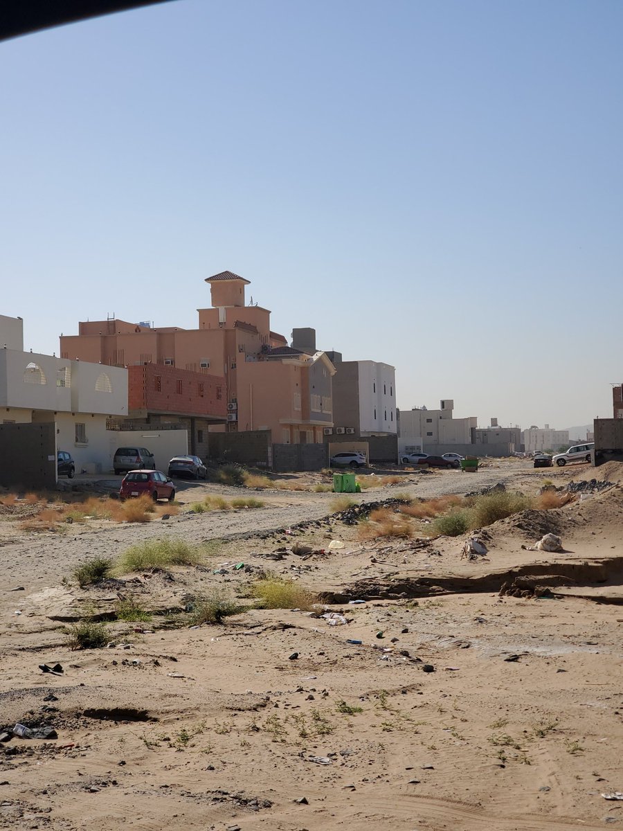 وطن المجد tweet media