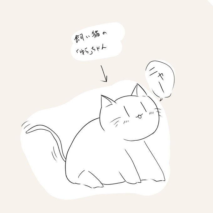 かわいいねこちゃん 