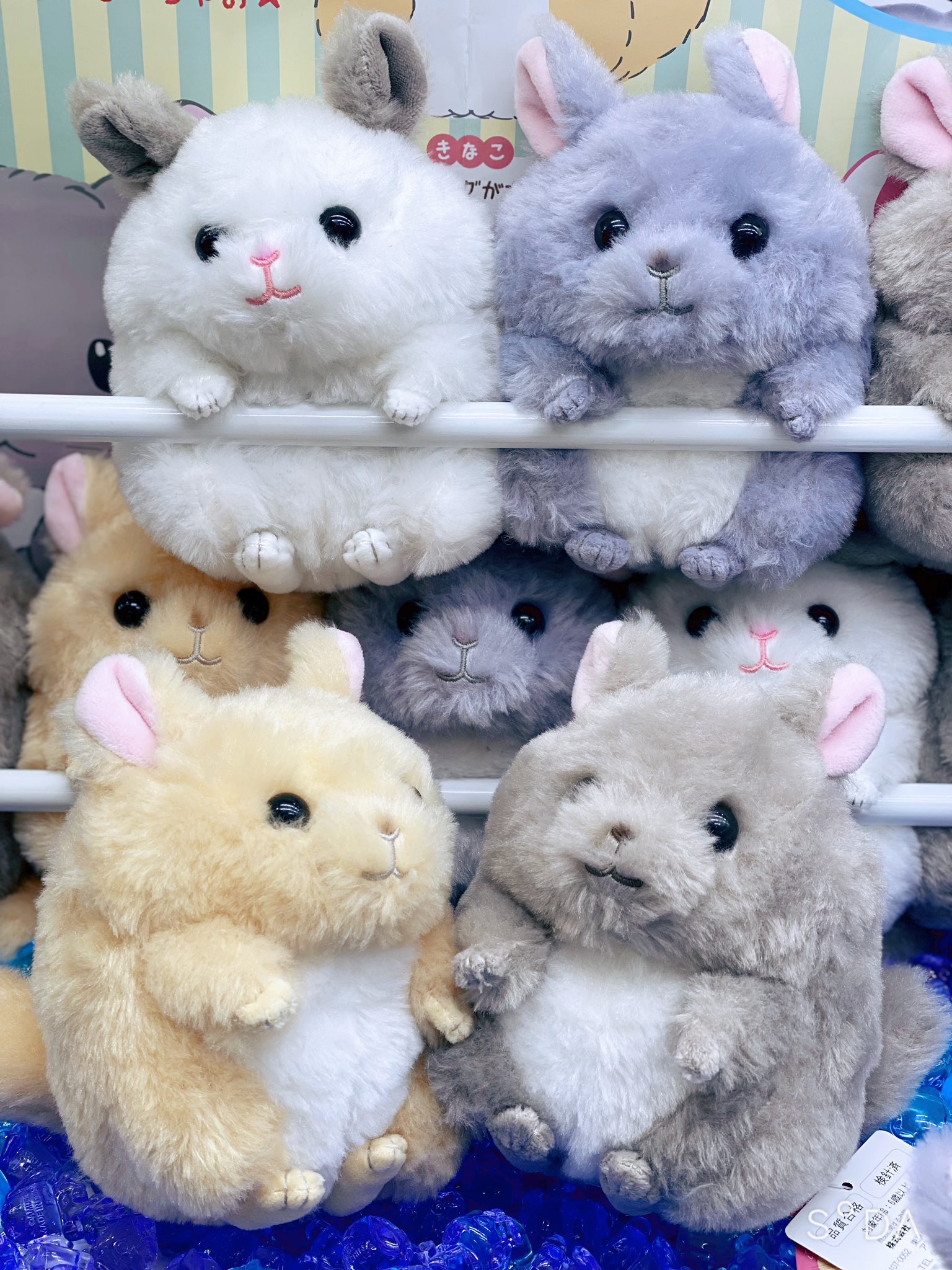 まるもふチンチライブ♥きなこ♥ST まるもふチンチライブ♥きなこ♥STの通販 by ふぅ｜ラクマ