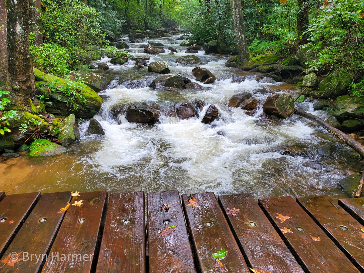 JonesGapSP's tweet photo. All reservations are full for today.  There are still some reservations available for next weekend 10/29-10/31.  Make yours before they fill up!! https://t.co/xUuXTvvULc
