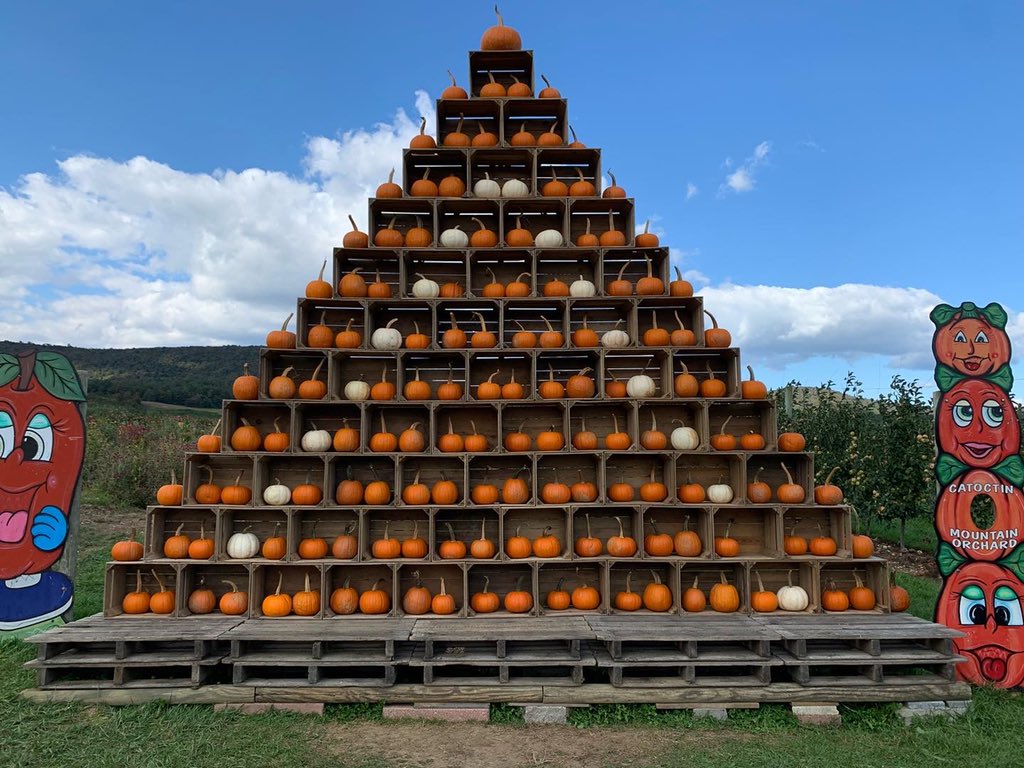 WDCGardener's tweet photo. Last weekend I stopped at the Catoctin Mountain Orchard to check out their pumpkin display, farm stand, and apple orchard - a perfect way to spend a fall weekend #gardendc #pumpkin π #dmv #farmmarket #pumpkindisplay #md https://t.co/zBoURlj33C