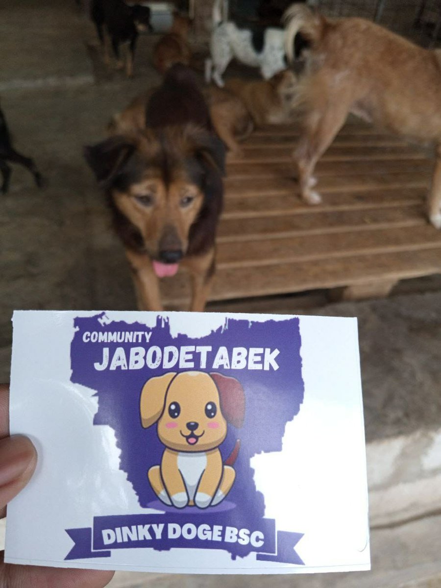 Dinkydogebsc's tweet photo. Yesterday 23 October 2021 a donation has been made at the Pejaten Shelter representing the Jabodetabek community.

Hope it can be useful.
And thank you to the holder who has set aside some of his wealth.

Greetings.
team Dinky Doge BSC
cc : @shelterpejaten @SomaliSusana https://t.co/BH6L9A92jF