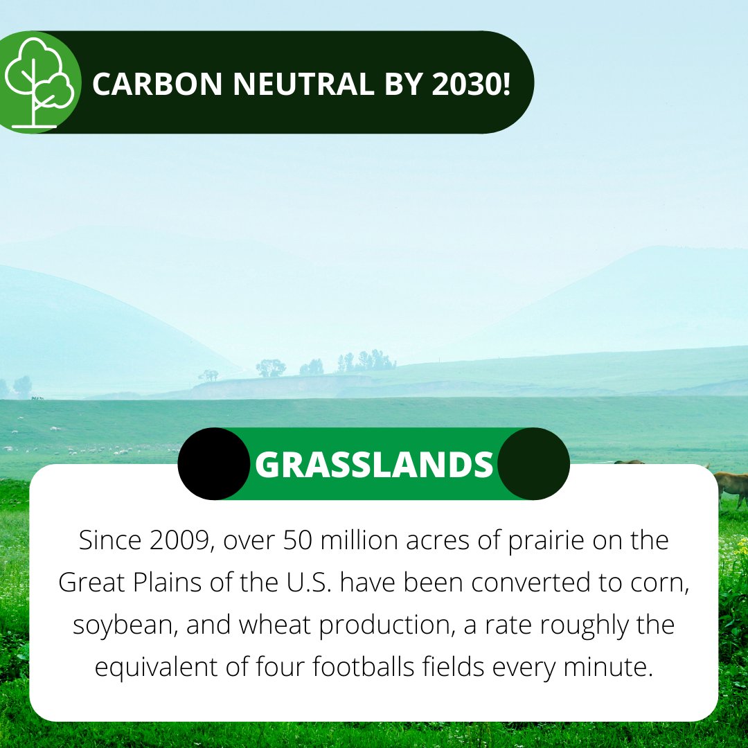 FarmBrigge's tweet photo. Grasslands are among the most endangered ecosystems on the planet. 🌍🌱

Grasslands occupy approximately 40% of the planet's land surface, and accounts for 15% of global terrestrial carbon storage (90% takes place below the ground).

#carbonneutral https://t.co/XhQPZoOwOg