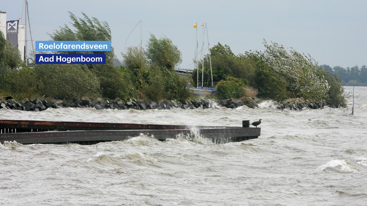 Buienradar tweet media