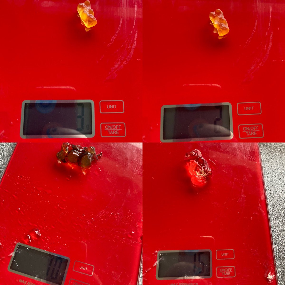 Cookson_87's tweet photo. @Windmill_CE_Sch Day 2 Science project. https://t.co/cQByYRpDGW