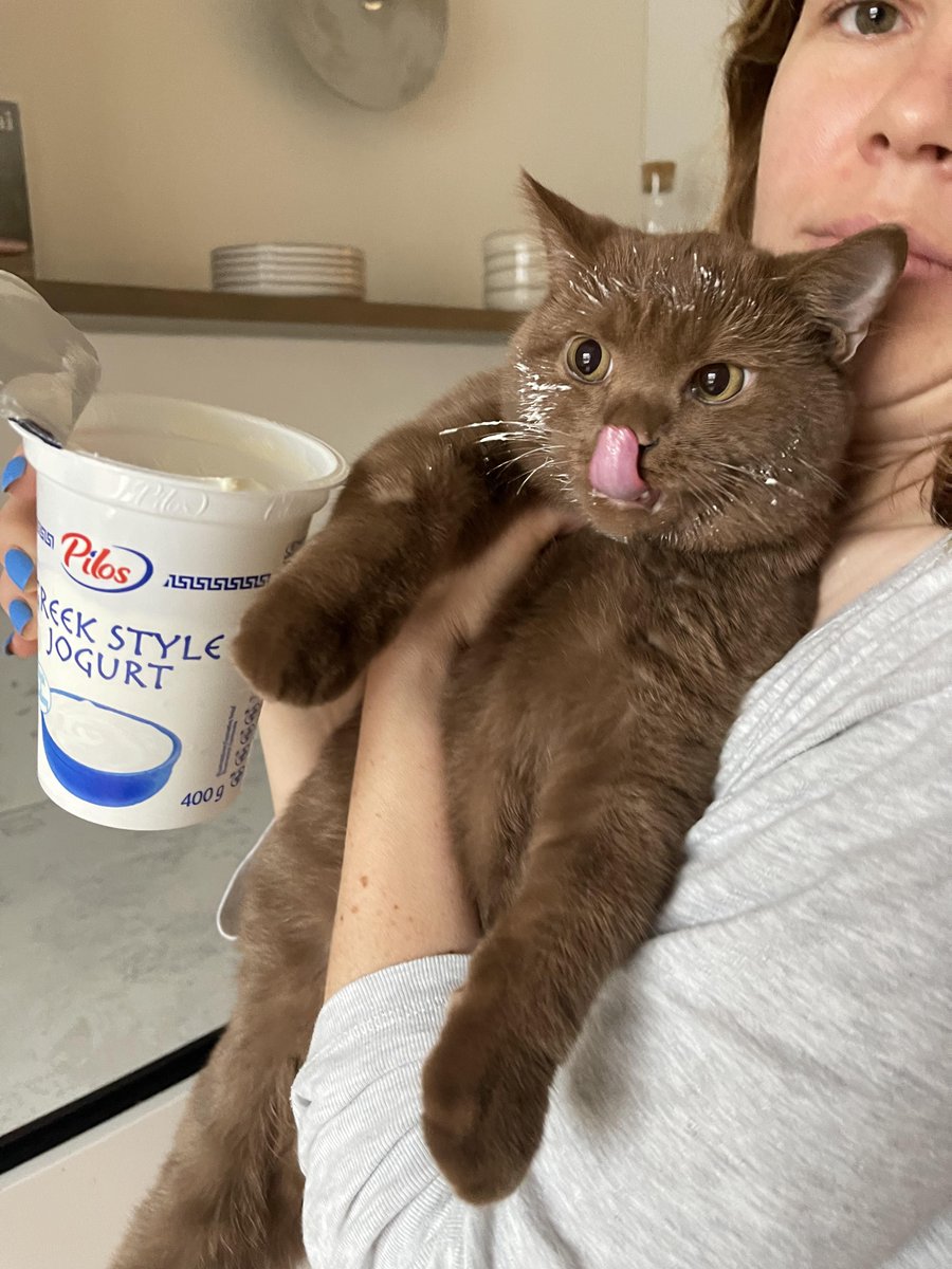 Michael's Cat tweet media