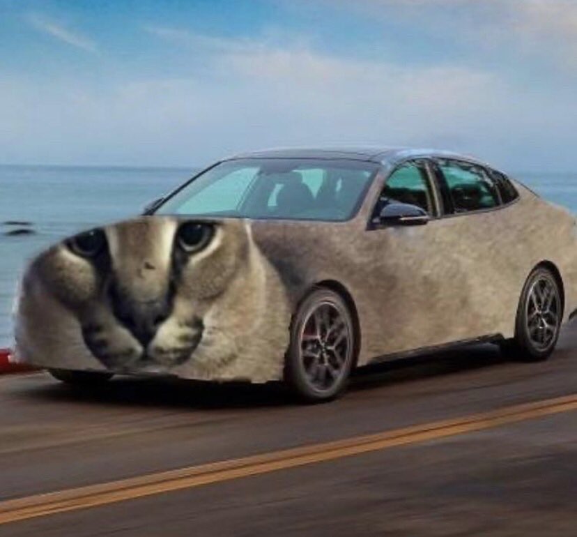 Floppa Gaming tweet media