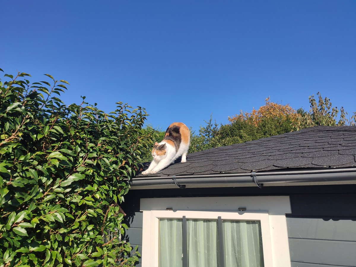 ขี้เกียจเหมือนกันไหม