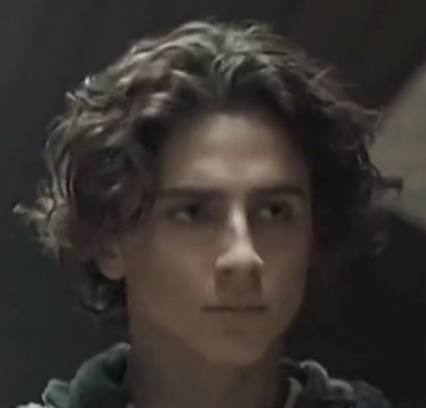 Tchalamethair's tweet image. Bad hair day?  Don't know her 😉
#DuneMovie @RealChalamet