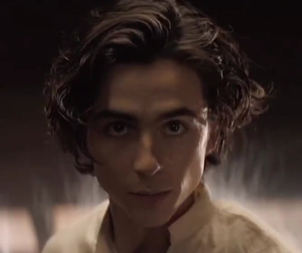Tchalamethair's tweet image. Bad hair day?  Don't know her 😉
#DuneMovie @RealChalamet