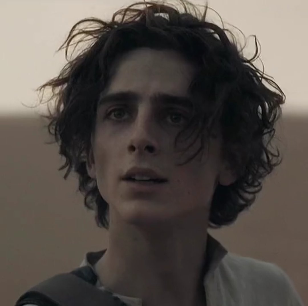 Tchalamethair's tweet image. Bad hair day?  Don't know her 😉
#DuneMovie @RealChalamet