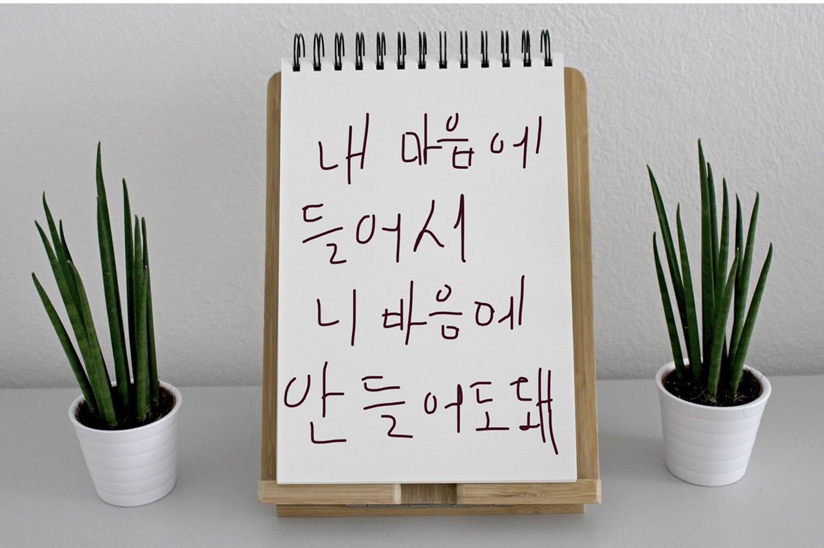 plzluvmeeee's tweet photo. To.짱국이를 싫어하는 사람들 https://t.co/SvQul1qKXS