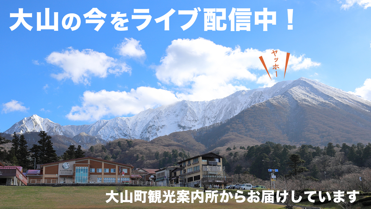 一般社団法人大山観光局オフィシャル Youtube配信 大山町観光案内所より 大山 の今をライブ配信中 T Co Gxp47wvjcb 大山寺周辺の紅葉や道路状況などリアルタイムにお届け 大山にいらっしゃる時の参考にどうぞ だいせん 鳥取県 一般社団法人大山観光局オフィシャル Youtube配信 大山町観光案内所より 大山 の今をライブ配信中 T Co Gxp47wvjcb 大山寺周辺の紅葉や道路状況などリアルタイムにお届け 大山にいらっしゃる時の参考にどうぞ だいせん 鳥取県