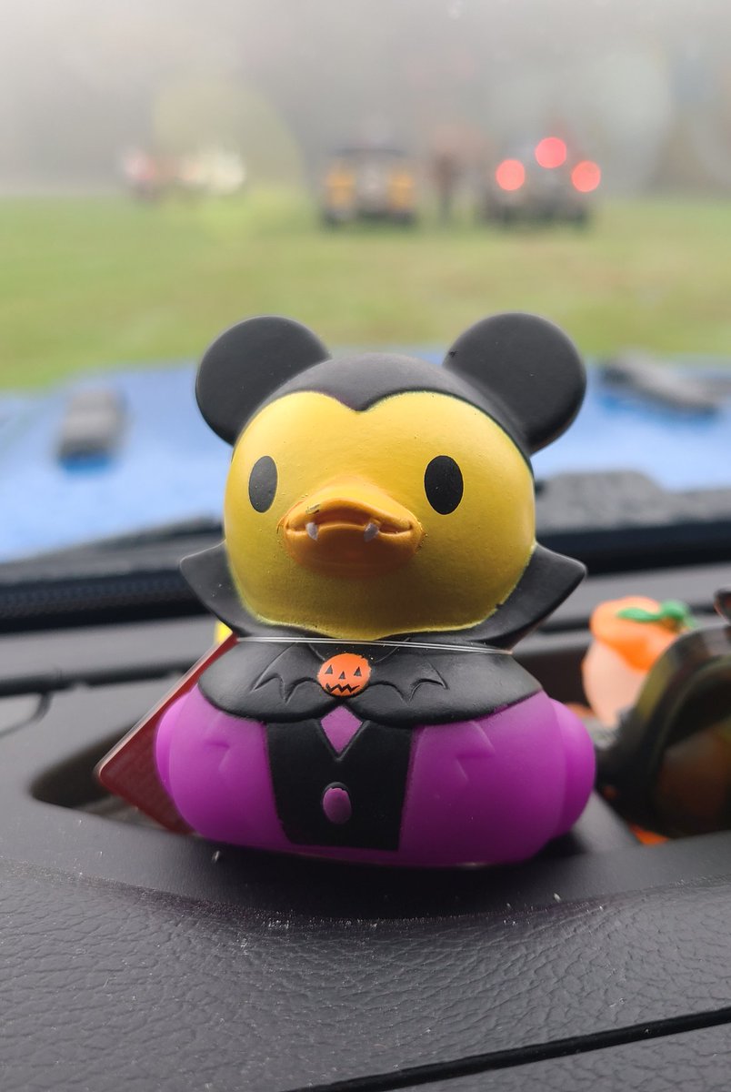 Got ducked with this little guy yesterday. He may be my new favorite #duckduckjeep